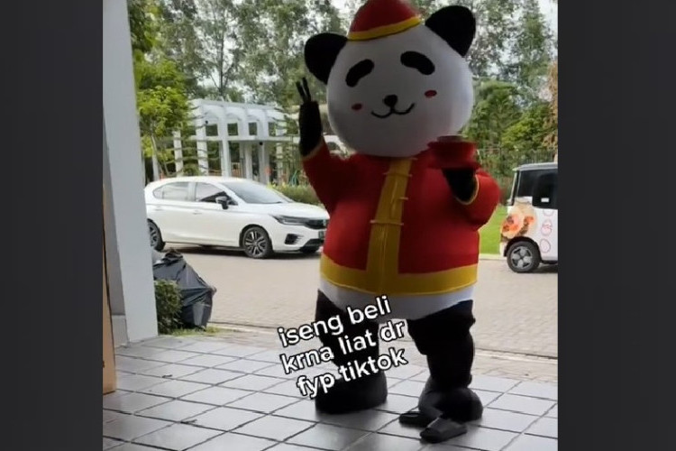 Cara Pesan Nasi Panda yang Viral di Tiktok, Jangan Ketinggalan Fomo Netizen Harus Up To Date