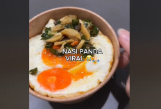 Nasi Panda Viral Tiktok Apa itu? Begini Penjelasan Lengkapnya Kenapa Viral